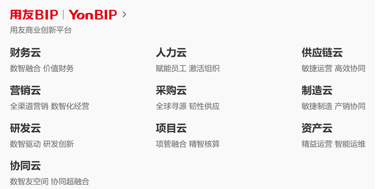 用友商业创新平台BIP